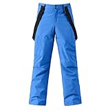 HOTIAN Herren Skihose Hosenträgerhose Outdoorhose Snowboardhose Winter Wasserdicht Warm Abnehmbare Hosenträger Skilanglaufhose Thermohose Wanderhose Ski Pant Green 2XL
