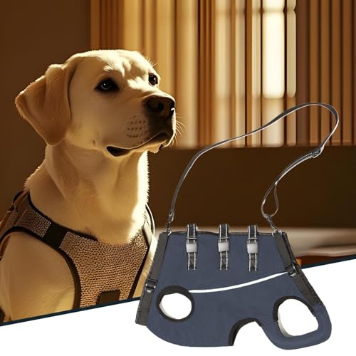 Hebegurt Altere Hunde - Tragehilfe Für Haustiere,Verstellbare Gehhilfe für Hunde mit Schwäche in den Hinterbeinen, Senioren, Behinderungen & Verletzungen