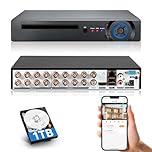 TOWODE 16 Channel CCTV Camera System Surveillance Video Recorder with 1TB Hard Drive,16CH DVR Supports 5MP/4MP/1080P AHD/TVI/CVI/IP Cameras, 24/7 Surveillance Recording,Human Detection,Remote Access