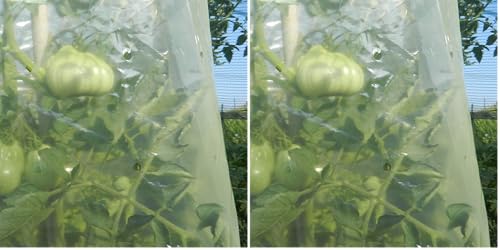 Tenax Tomato Film 0,60x10 m Jaune, Film Tubulaire pour la Culture des Tomates, pour Favoriser et Accélérer la Croissance des Tomates (Contient 10 Liens en...
