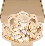 Moresis Sea Shell Holder, Wooden Seashell Display Box, Small Shadow Box for Sea Glass Shark Tooth Storage, Christmas Gift
