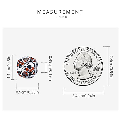 Phocksin January Birthstone Charms For Bracelets 925 Sterling Silver Infinity Bead Charm Gifts For Daughter Sister New Year #TOP4