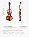 VEVOR Violin 4/4 Full Size for Adults, Violin Fiddle Set for Beginners Student with Hard Case,Rosin, Bow,Shoulder Rest,Bridge,Extra Strings,Professional Solidwood Instrument (Glossy Brown Patterned)