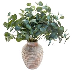 Vase Plant