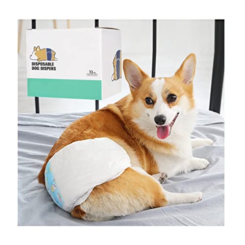 Pañales Perros Machos Adultos Marca 