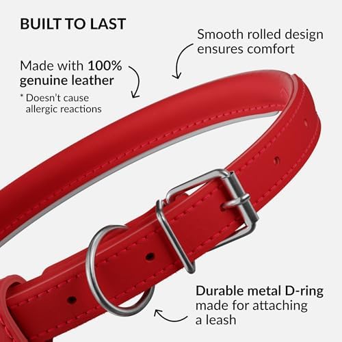 CollarDirect Rolled Leather Dog Collar, Soft Padded Round Puppy Collar, Handmade Genuine Leather Collar Dog Small Large Cat Collars (Red Smooth, 23-28 cm) - 2