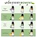 Essential Oils for Diffusers for Home – 12-Pack Essential Oil Set for Sleep & Refreshing Scents – Premium Aromatherapy Diffuser Oils Scents for Home in Wooden Gift Box, Best Gift for Any Occasion