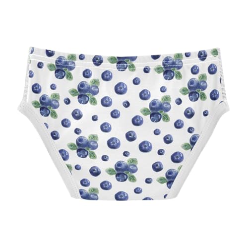 Boys' Exclusive Briefs Toddler Underwear 95% Combed Cotton Boxerbriefs 2T Blueberry Pattern 92
