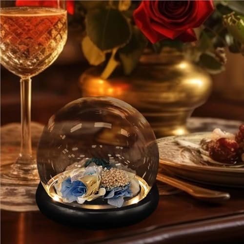 Cloche en verre de 15cm transparente pour objets de collection - 3
