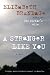 A Stranger Like You: A Novel