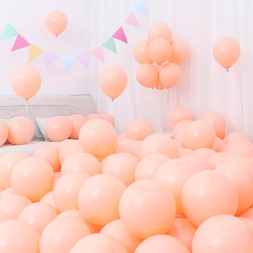 Sekat D IW }` 10C` 100 S Ɍ  }JD ebNXo[  a  X܊JXj p[eB[ ^  o[A[g ~bNX