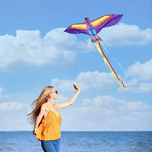 Mint’s Colorful Life Large Phoenix Bird Kite For Kids Adults, Easy To Fly Single Line Beach Kite, Comes With Kite Handle And 300Ft String #TOP5
