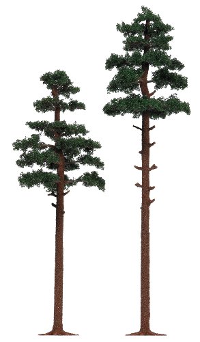 Circuit de train incomplet ? Donnez du relief à vos paysages avec le lot de 2 sapins Busch 6144