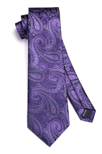 Image of HISDERN Ties for Men Paisley Tie and Pocket Square Woven Classic Floral Mens Ties Handkerchief Set Wedding Party Necktie