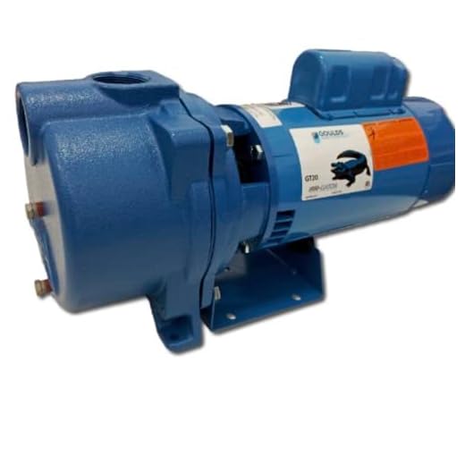 GOULDS Pumps GT20 IRRI-Gator Self-Priming Single Phase Centrifugal Pump, 2 hp, Blue