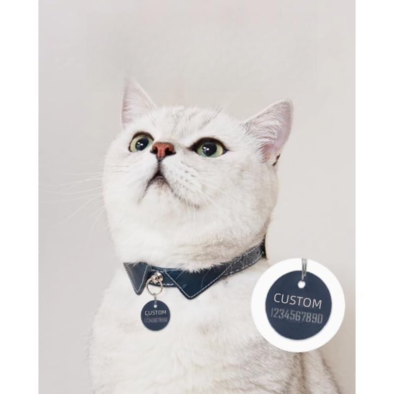 Collier en cuir personnalisé pour animal de compagnie avec plaque nominative gravée, convient pour les chats et les petits chiens