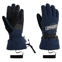 Spyder Herren Overweb GTX Gloves Handschuhe