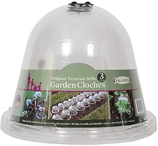 Haxnicks Bell050101 Original Bell Jar Cloches for Warming Garden Soil and Growing Plants, Clear (Pack of 3)