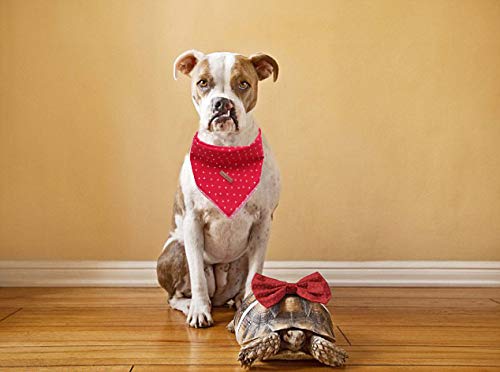 Unique style paws 1PCS Hundebandanas Waschbarer Baumwollquadrat-Latz, Verstellbarer Hundetuch für kleine mittelgroße Hunde und Katzen roter Punkt