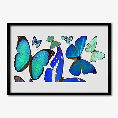 Cadre en MDF 70x50 cm avec affiche encadrée papillons de qualité supérieure