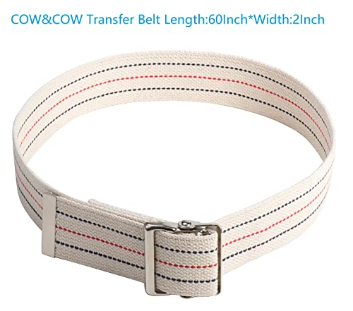 Cow&Cow 24" Wooden Transfer Board And 60" Transfer Belt Kit For Patient, Senior And Handicap Move Assist And Slide Transfers (24Inch) #TOP2