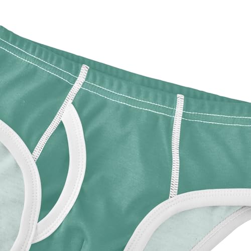 ODAWA Boys Cotton Briefs Underwear Sea Turtle Green Underwear Toddler Boy Boy Briefs Size 84