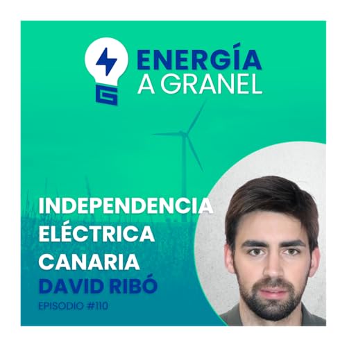 &laquo;Independencia el&eacute;ctrica canaria&raquo;, con David Rib&oacute;. #110
