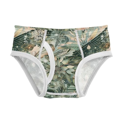 visesunny Boys Potty Training Underwear Insect Winged Flowering Plant Breathe Cotton Briefs Size 2T-8Y for Toddler