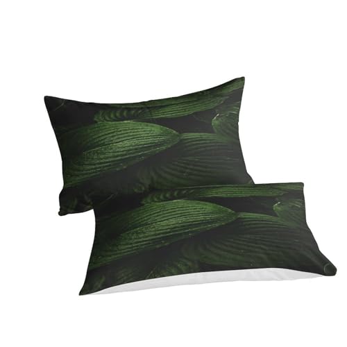 Housses de couettes microfibre de qualité supérieure parure de lit double imprimé dessin