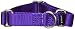 PetSafe Martingale Dog Collar Small, 3/4 Inch, Deep Purple