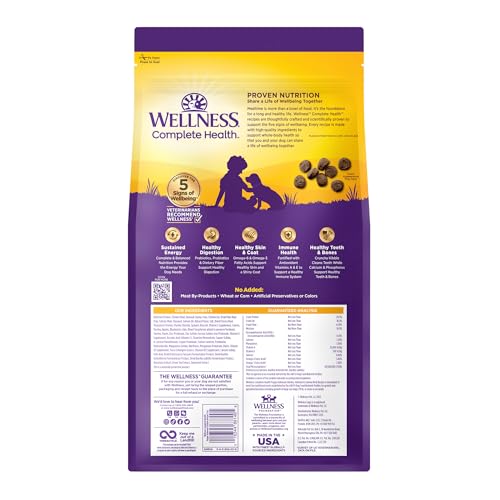 Wellness Complete Health Puppy Dry Dog Food, Wholesome Grain Kibble, Natural, Chicken, Oatmeal, and Salmon Recipe, 5 lb Bag - image 9