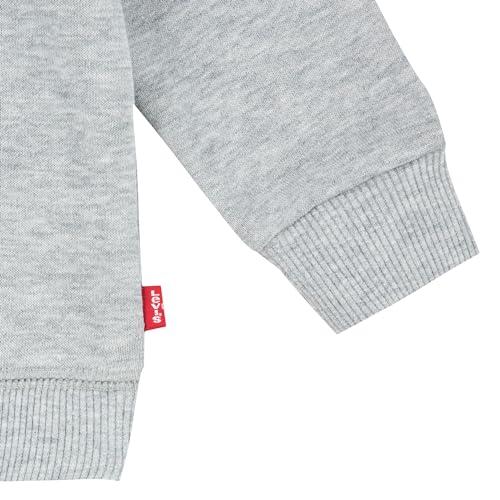 Levi’s Kids Batwing crewneck sweatshirt Baby Jungen Grey Heather 3 Monate