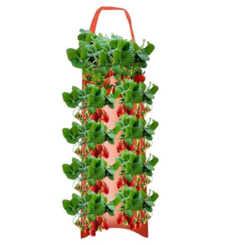 lawn garden best strawberry planter