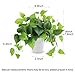 CEWOR Artificial Plants Fake Pothos with Plastic Pot Artificial Potted Plant for Home Office Bedroom Indoor Outdoor Decor 1 Pack