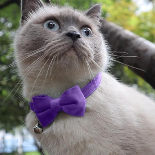 Schmetterling für Katzenhalsband – gleitende für Katzenhalsband, Fliege für Katzen für Hunde | vielseitiges Halsbandzubehör für kleine Haustiere