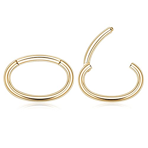 Daith Earrings 16 Gauge Hoop Earrings For Women 16G Nose Hoop Gold Septum Jewelry Surgical Steel Septum Ring Septum Clicker Lip Rings Helix Earring Rook Earring Conch Piercing Cartilage Earring 10Mm #TOP2