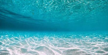 Dtekoj 48X24IN Natural Undersea Aquarium Background, Undersea Beach Fish Tank Background, with 8 EVA Double-Sided Tape