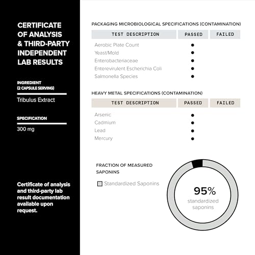 image for Toniiq Elite T Formula - Ultra High Potency 200:1 Tongkat Ali, 30:1 Fa