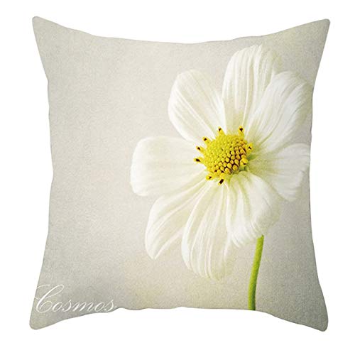 EHOMERY Fundas Almohada Protectora Funda De Cojín Personalizada Terciopelo Funda Almohada Matrimonio Funda Cojín Cama Decoración del Sofá De La Sala De Estar 16X16 Inches