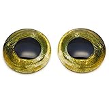 Sockeye Salmon Fish Glass Eyes...