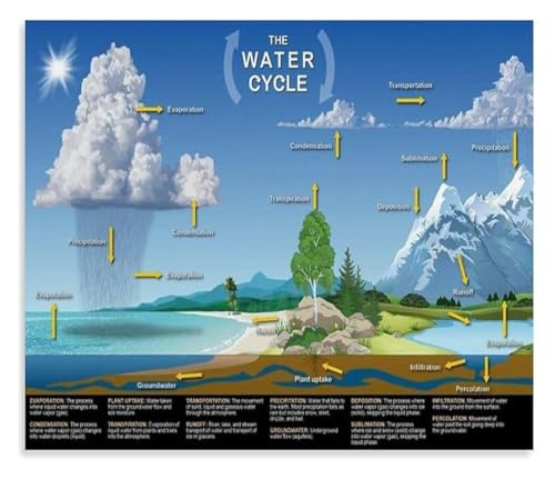 The Water Cycle Poster Canvas Wall-Art Science Classroom Education for Living Room Bedroom Decor(Framed,08x12inch(20x30cm))