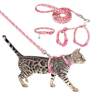 Cat Harness and Leash Escape Proof Cat Harness Strawberry Adjustable Cat Harness Leash Set Breakaway Cat Collars for Kitten Small Cats Walking Travel Outdoor