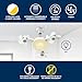Imagen de BEPER P206VEN612 Ventilador de techo con luz LED y mando a distancia