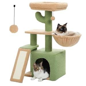 PETEPELA Cactus Cat Tree for Indoor Cats, 32” Small Cat Tower Cat Condo with Sisal Scratching Ramp, Cozy Hammock and Removable Top Bed Perch for Kittens, Green