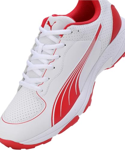 Image of Puma Mens Spike 24.2 Cricket Shoe