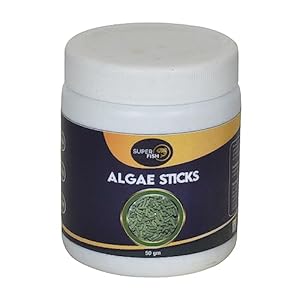 Super Fish Algae Stick 50 g, Great Food for Herbivore Bottom Feeders Like Plecos, Cory Catfish, loaches, Crayfish and Shrimps