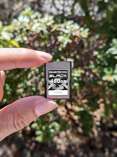 Amazon.co.jp: Delkin Devices: CFexpress Type-A