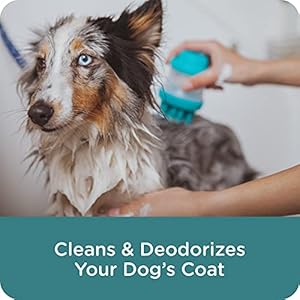 Sergeants guardian flea tick dog shampoo clean cotton scent 18 oz  urban country home decor