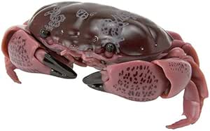 いきもの大図鑑 かに02 [4.スベスベマンジュウガニ(リアルカラーver.)](単品) ガチャガチャ カプセルトイ