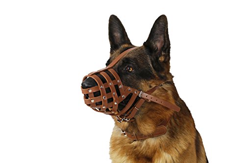 Collardirect Dog Muzzle German Shepherd Dalmatian Doberman Setter Leather Basket Medium Large Breeds Black Brown (M, Chestnut Brown) #TOP4